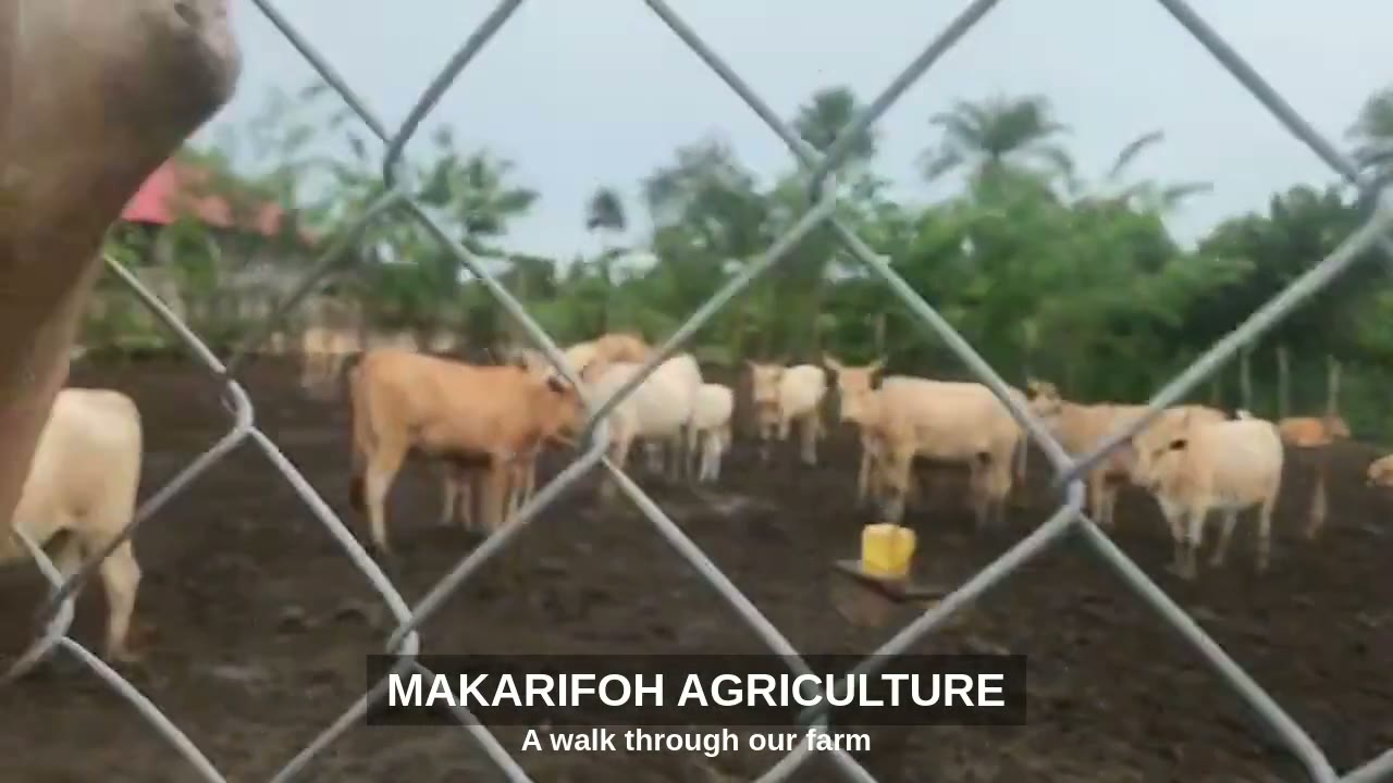 MADP — A walk through our farm
