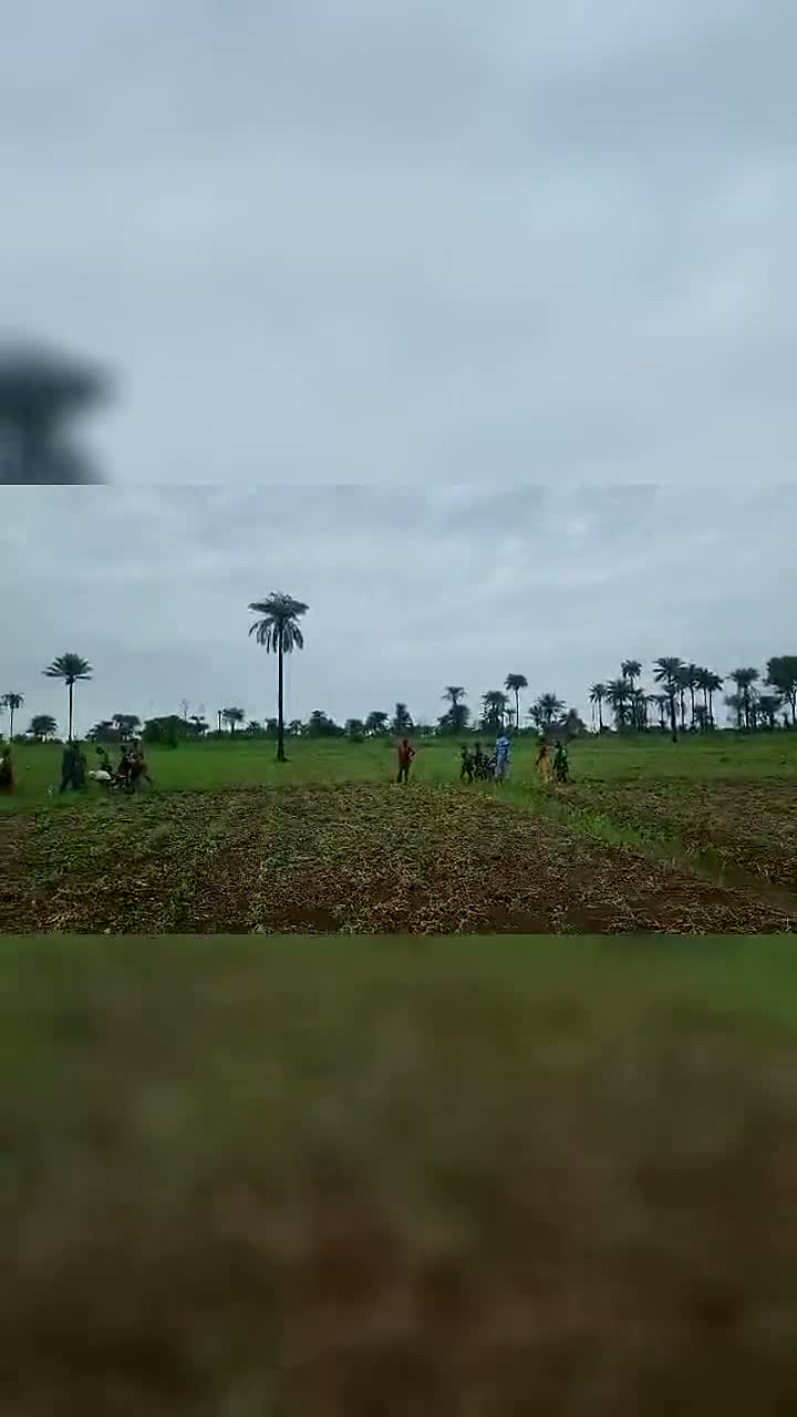 Livestock on the move