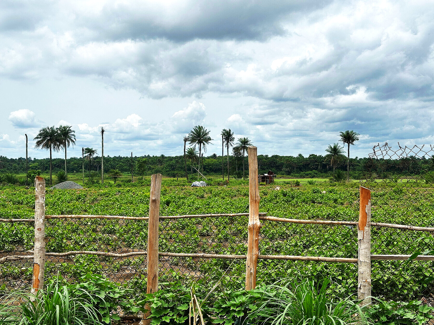 Farmland under open skies